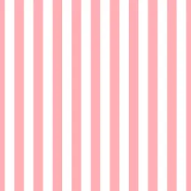 Pink Stripes - BCCI